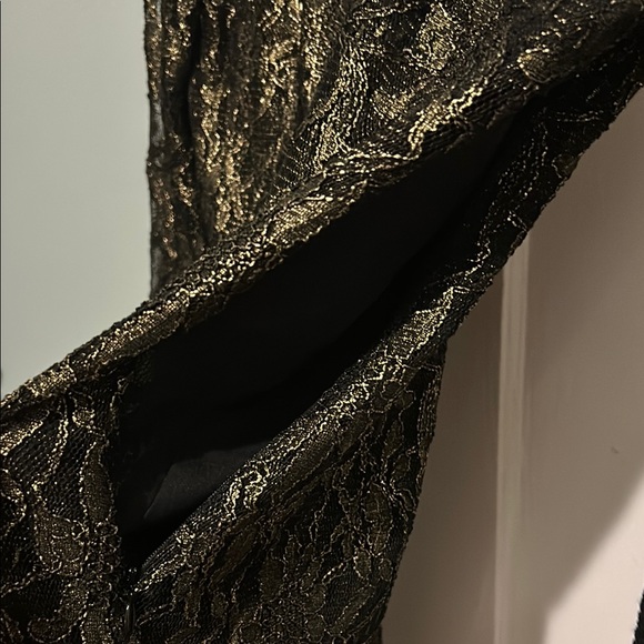 cynthia steffe Elegant black and Gold Lace Dress - Picture 4 of 10